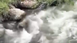 منضر ولا اروع