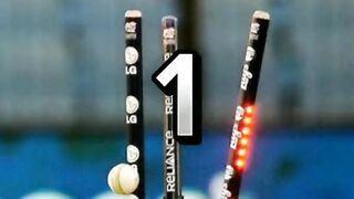 Cricket famous sounds