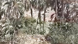 مناظر خلابة 2