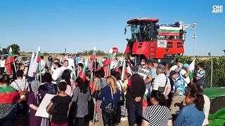 Винарите се разбунтуваха срещу кантарите в лозята