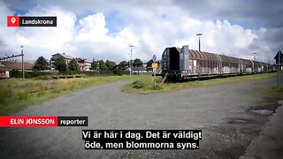 Full Link Landskrona Flashback Emilia Sjöberg Video Reddit Twitter