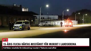 Link Video Emilia Sjöberg Video Flashback Landskrona Emilia Film Viral