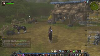 WOW Верховая езда подмастерье, грабеж...World of Warcraft