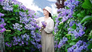 Dyeing the colours of nature onto fabric and wearing it on the body. 【滇西小哥】