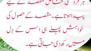 Mulana Rumi's Quotes