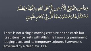 Juz' 12 - ???? ENGLISH ONLY Recitation with Arabic_English Text. Night Mode (Dark Background)