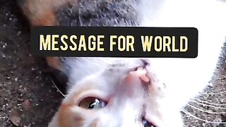 ZB-19  The Message for World