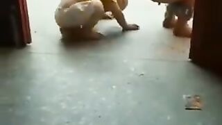 Mazaki video