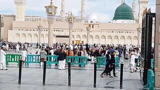 madina_munwara_madina_sharif????????????????????????????