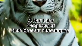 Hari lahir yang disukai khodam pendamping