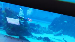 dubai mall 3