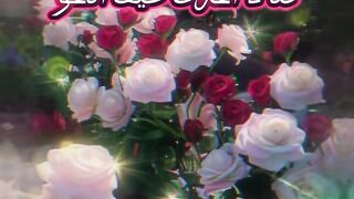 تسامحو وتراحمو