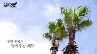 RUN JIN EP 3 The Last Meal