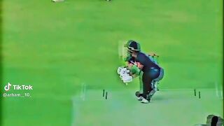 Cricket lover????????????