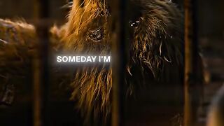 It really is good to have. _ Rocket edit _ VØJ, Narvent - Memory Reboot( Slowed).