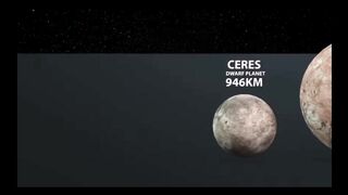 Universal's size explainded 2024