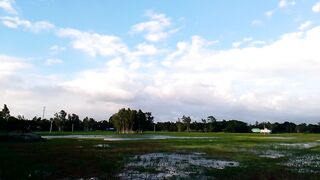 Beautiful Nature Scene