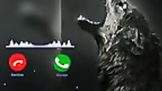 Famous Turkish Attitude Ringtone -Download Now Noyan Ring