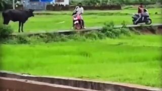 Funny video