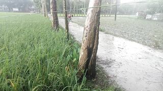 ভিডিওটি দেখলে ছোট বেলার কথা মনে পরে