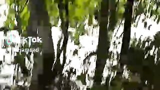 রাসেল ভাইপার।