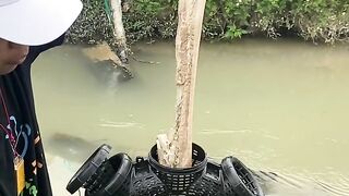 New security trap for fishing ????