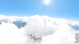 video 794