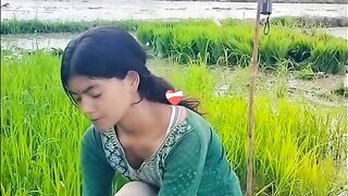 ও আমার সোনা বেবি