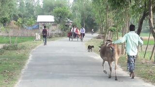Beautiful views of the village.