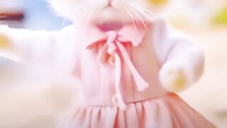 Dancing cat 6
