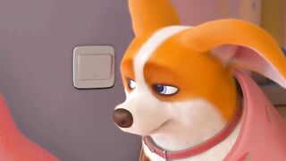 নিকি আর মোকোর লড়াই | Funny cartoon #shortsvideo #3danimation