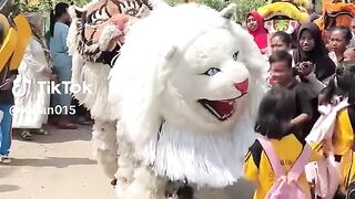 Funny video
