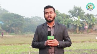 স্বল্প জায়গায় মিশ্র সবজি চাষ করে স্বাবলম্বী Krishoker Foshol