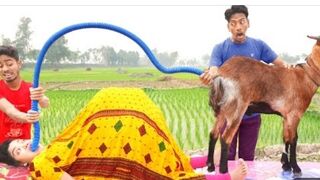 Top New Funny Comedy Video