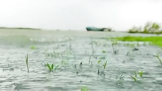 River 13