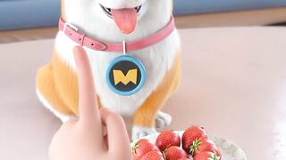 Moco And Niki | Funny Video Niki যখন Moco কে দিয়ে খাবার ভাগ করায় #shorts #cartoon #animationstory
