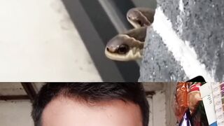 চোখের দেখা সব জিনিস বিশ্বাস করতে হয়