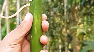 বাঁশ দিয়ে নিনজা টেকনিক