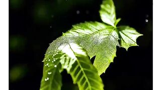 ভালোবাসার আরেক নাম(life is পথেপথে।)★ᴷⁱⁿᴳShankar❦