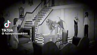 Funny video