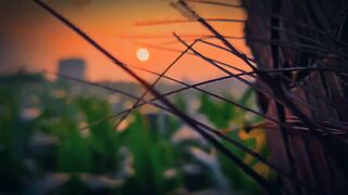 The beautiful of nature
