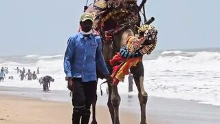 Puri Sea Beach