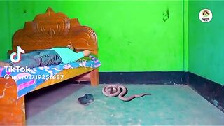 Romantic song Hindi