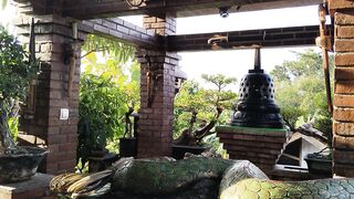 front garden of the house