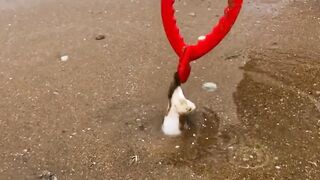 Be Careful When You Walk Sea Beach