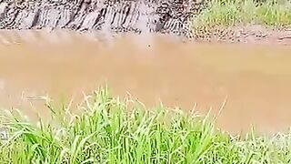 Kolam 2
