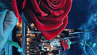 This is funny video or flower  Quality settings in bio????#beautyandthebeast #aesthetic #fyp