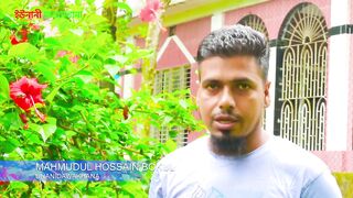 টাক পোকার সমাধান।