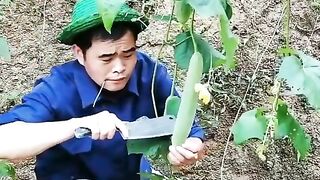 ফানি video