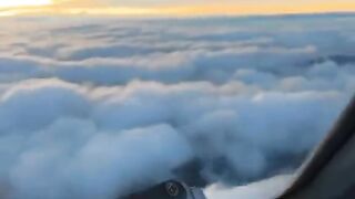 How many ricks to take down the plane from the sky.